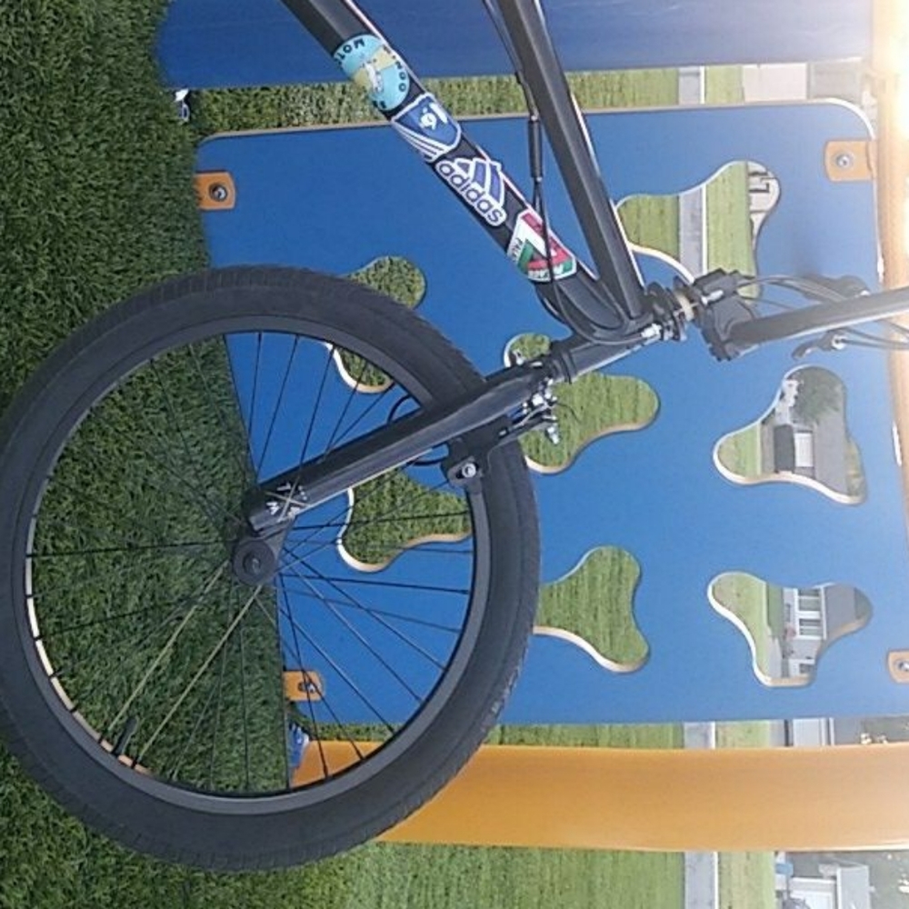 Mongoose bmx bike
